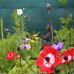 Ca'benvenuto Vakantiehuis