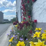 Ca'benvenuto Vakantiehuis *