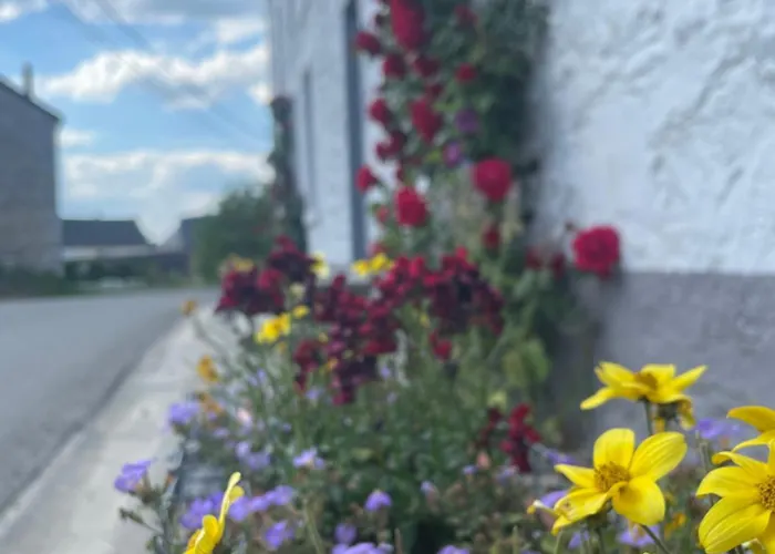 Ca'benvenuto 펜션 *